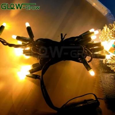 Warm White Good Quality CE Rubber Wire Christmas Garland Light LED String Light with Bullet Cap for Tree Patio Home