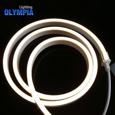 IP68 60LEDs/M LED Strip Light Neon Light for Fountains