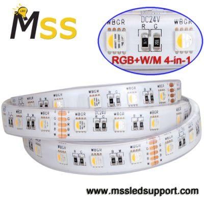 High Bright LED Strip RGBW 5050 SMD LED Strip 24V