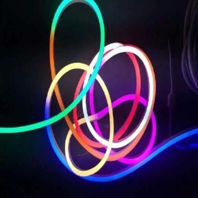 13*8mm/12*6mm Customized 12V LED Rope Strip Light Neon