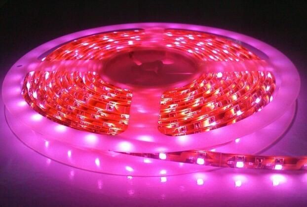 5050/3528 60LEDs/M 660nm Pink Color LED Strip Light