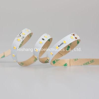 210lm Per Watt Building Outline Ligting Perfect Lighting Effect DC24V 12V Constant Low Voltage High CRI Smdlinear Lights