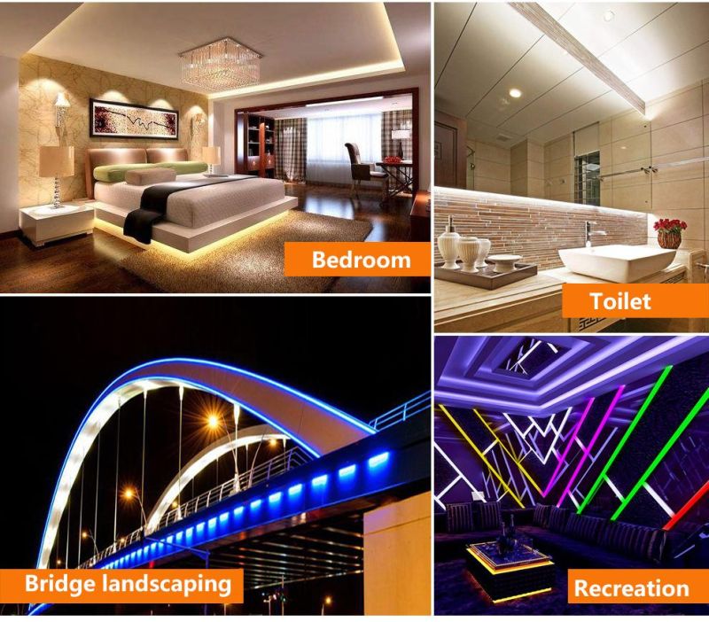 Decoration 8mm 10mm 12mm 220-240V 110-130V Flexible LED Strip Light