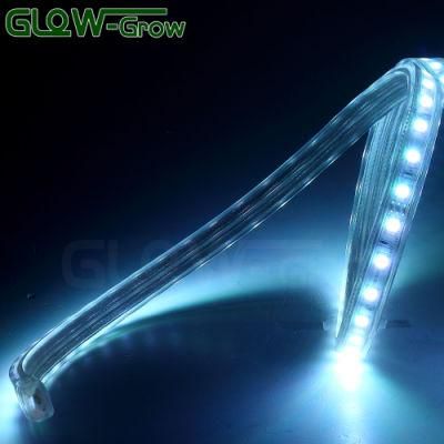 Colors Changing SMD 5050 LED RGB Strip Light for Shopping Mall Decoration