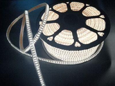 240LEDs/Meter High Brightness Decoration LED Strip Light with Plug