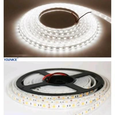 New Type Rolled Copper Process Good Heat Dissipation IP67 LED Flexible Strip