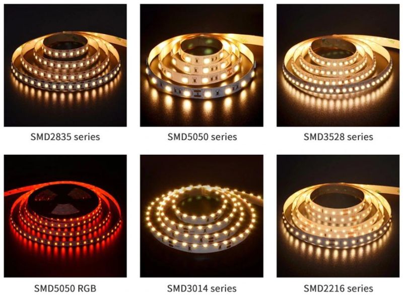 High Bright Flexible LED Stripe SMD2835 128LED DC24V 6000K Used for House Decoration