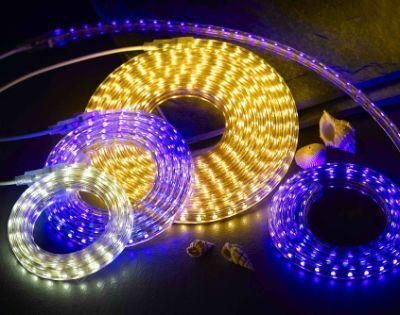 110V 220V SMD5050 RGB LED Rope Light