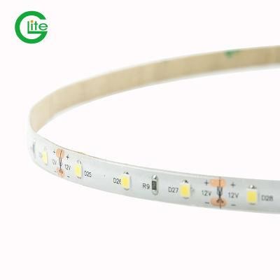 SMD2835 60LED Single Color LED Strip for Decoration Lighting