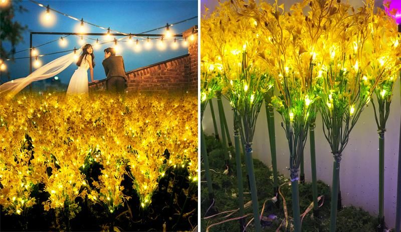 Wholesale Event Festive Party Supplies LED Decoration Light Brassica Campestris Flower