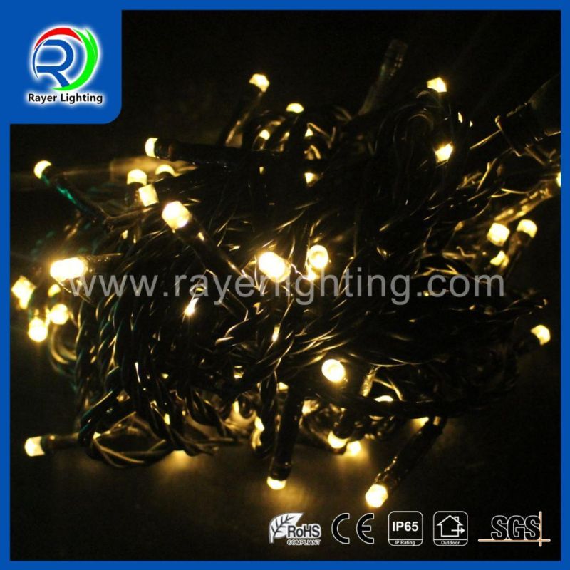 Holiday Light Christmas Decoration Christmas Light LED String Lights Balck Cable