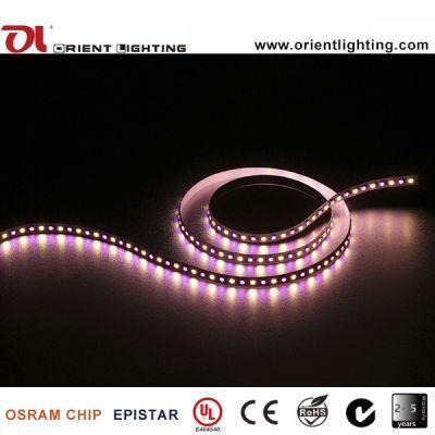 UL Ce 96 LEDs/M 6500K SMD 5060+5050 RGB+W LED Flexible Strip Light