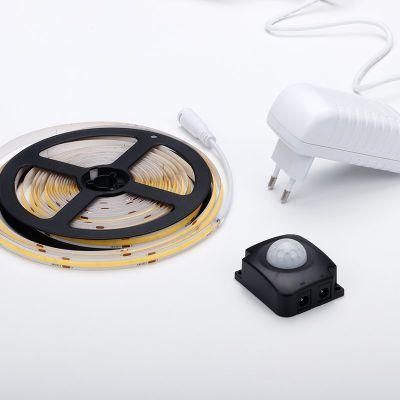 Wholesale 5-Year Warranty Warm White Emitting Color COB LED Strip Light