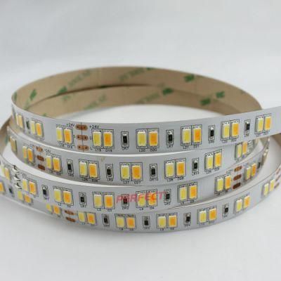 High Lumens 120LEDs/M 24VDC SMD 5630 CCT Adjustable LED Strip