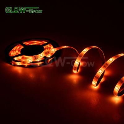 SMD5050 waterproof 5mcolor Changing RGB LED Strip Light for House Home Kitchen Street Event Decoration