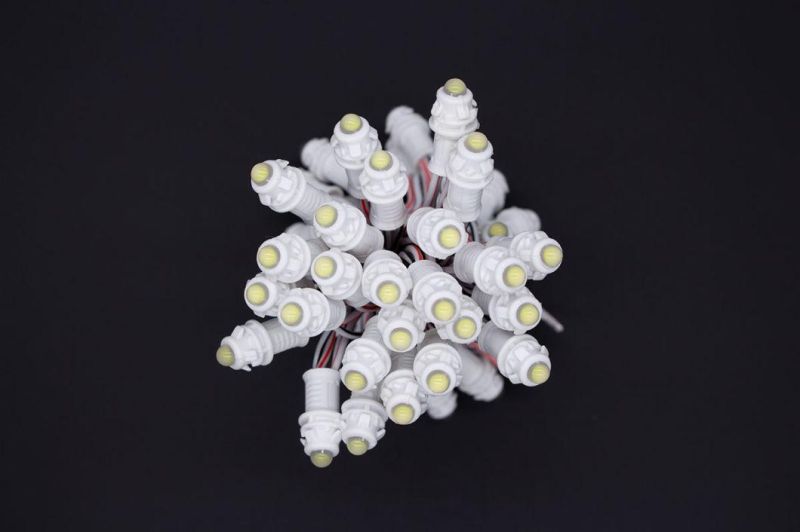 RGB Pixel LED Point Lights Ws2811 IP68 Waterproof LED Module LED Point Lighting Outdoor Point Light Source LED Pixel