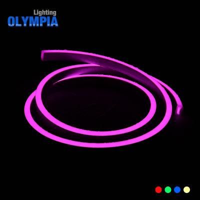 Pool IP68 Addressable RGB Neon Cuttable LED Strip Light