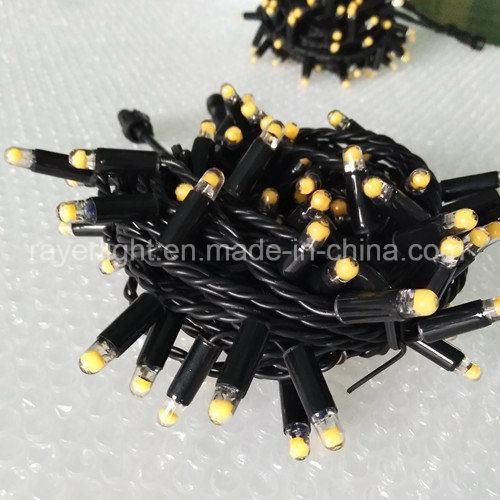 Holiday Decorative Fairy Light Multi Color Light Ledstring Lights