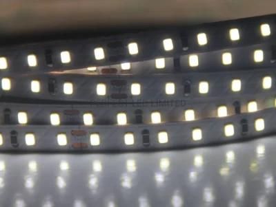 White 5000K DC 24V SMD 2216 LED Strip with CE RoHS