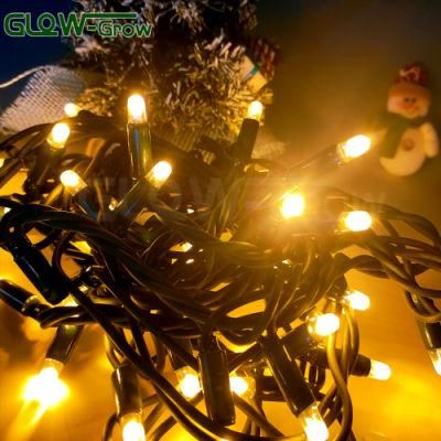 IP65 Waterproof 220V 5 Meter Christmas LED String Light for Yard Holiday Festival Outside Decoration