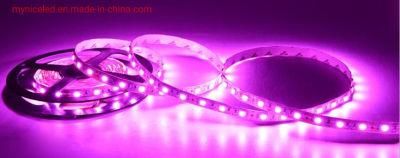 12V Ra80 Cutting Unit 50mm High Quality Lamp Beads Bare Plate Process 2835 Flexible LED Light Strip