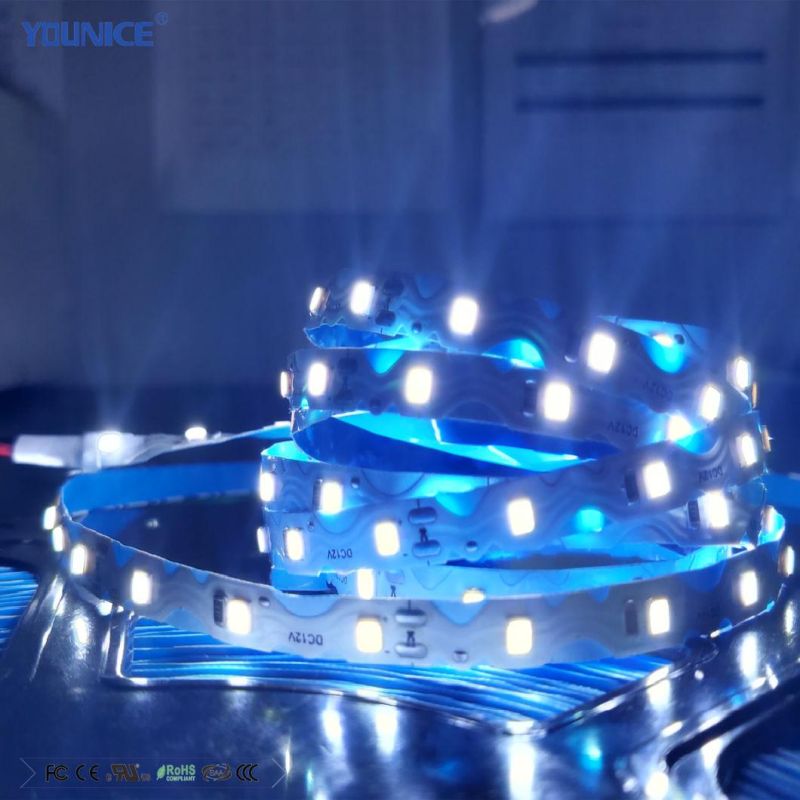 Illuminated Signs 10m Long Cascade S Type Widely Use LED Flexible Strip