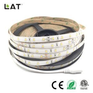 High Brightness DC12V DC24V IP20 IP65 SMD2835 Cw 10m 120LEDs Flexible LED Strip Tape Ce ETL UL