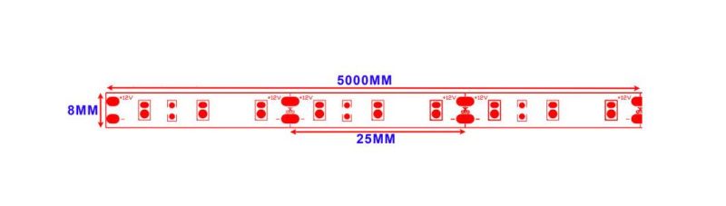 LED Lighting Decoration SMD2835 Flexible LED Light Strip 12V 24V DC for Indoor/Outdoor Environment