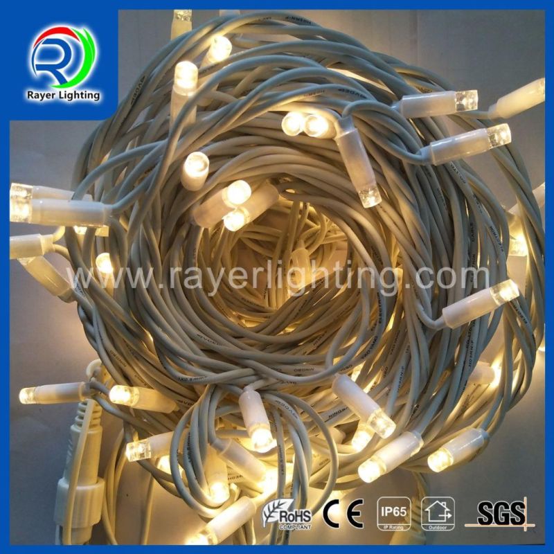 LED Waterproof Rubber Cable Outdoor Light LED String Lights LED Street Light