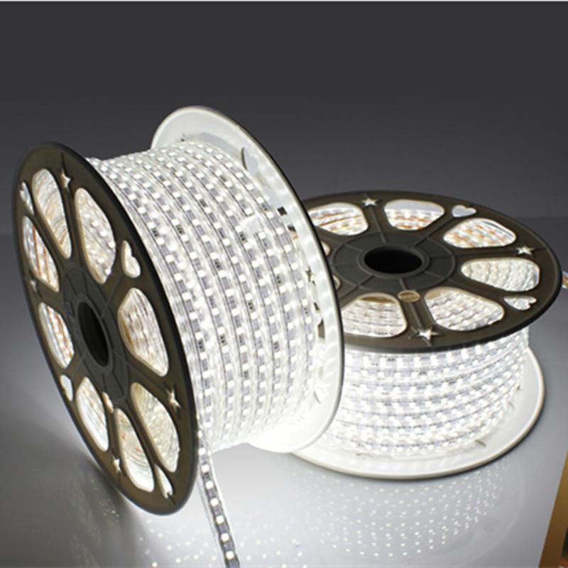 5050 60LED/M 220V 22W LED High Voltage Flexible Strip