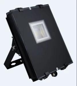 45W LED Projection Light with 3-5 Years Warranty Ce RoHS