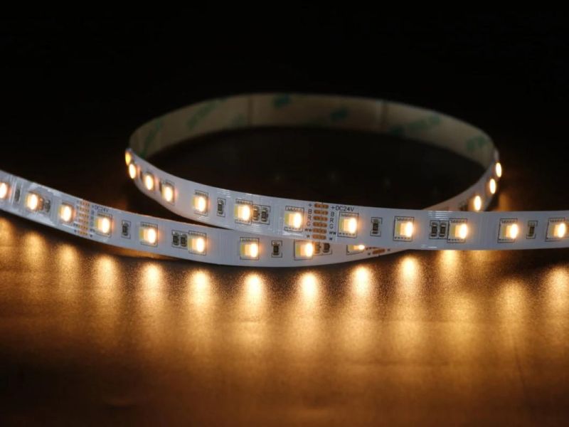 5 Years Warranty 24V Flexible SMD 5050 60LEDs CCT Dimming Waterproof LED Strip Light