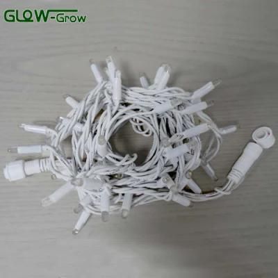 Christmas Use Waterproof Rubber Wire String Light with Milk White Bullet Cap