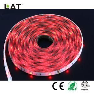 DC24V 5m IP65 High Brightness SMD5050 RGB 60/120LEDs Flexible LED Strip Light