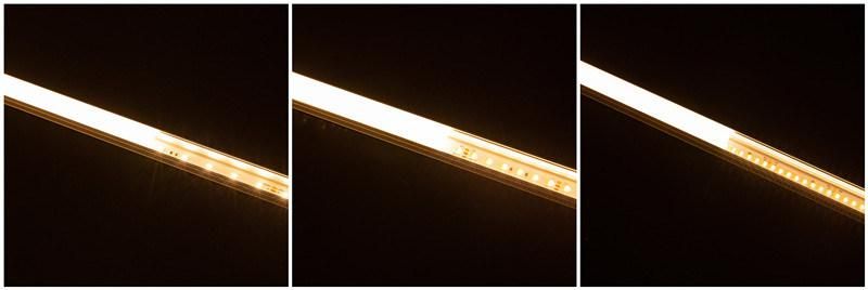 High Brightness LED Light 2835 CCT LED Light 60LED Strip DC24 Strip for Lighting