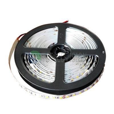 High Brightness 240LEDs/M Flexible LED Strip Light with Quality SMD2835