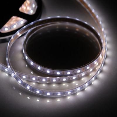 31.25mm Cut Unit 8mm Width LED Flexible Rope Light Strip