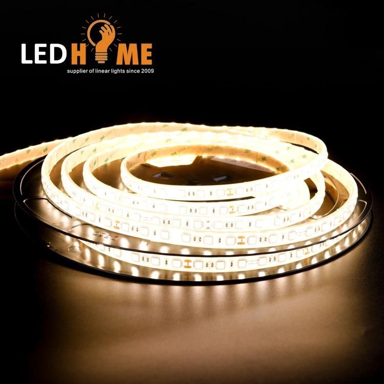 SMD 5050 IP68 RGB Flexible LED Neon Strip From China