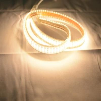 AC110V SMD2835 Outdoor Building Decoration Waterproof CE IP65 LED Strip Lights