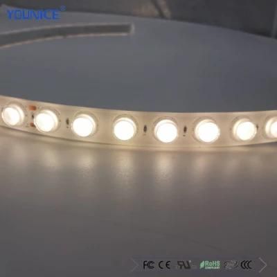 Water Proof IP67 Bendable LED Flexible Wall Wash Light
