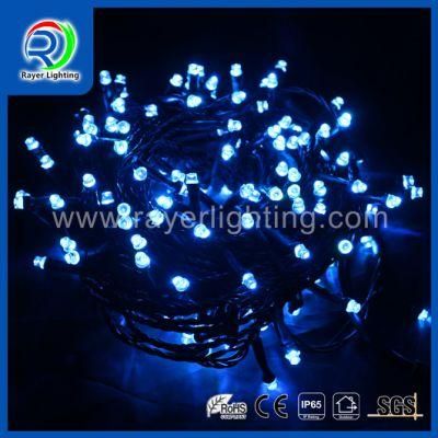 Multicolor LED Holiday Decorative String Light From Factory