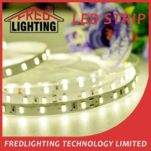 High Brightness, 60LEDs/M SMD5630 LED Strips