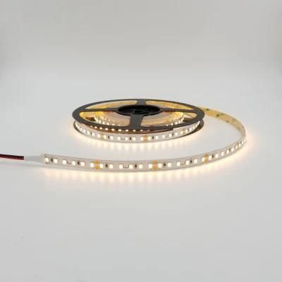 DC12V/24V SMD5050/2835 RGBW 4in1 LED Strip with 5 Pin LED Connector LED Strip Lights