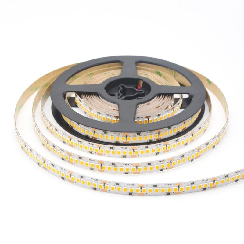 5years Warranty LED Strip Light SMD2835 240LEDs/M CRI90