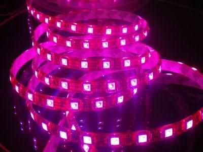 RGB Flexible Christmas Decoration Lighting LED Strip Light