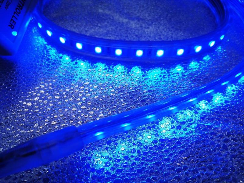 High Quality SMD5050 Christmas RGB Color LED Strip