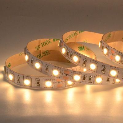 IP20 Non waterproof Warm white LED tape light SMD5050 14W/m STRIP LED