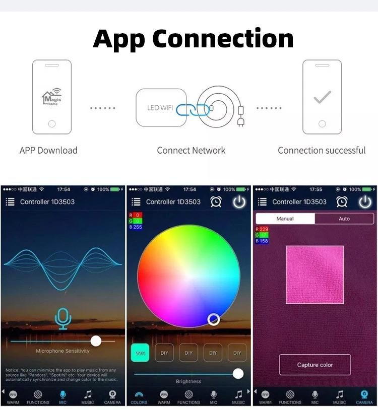 Rgbic WiFi Bluetooth LED Strip Light