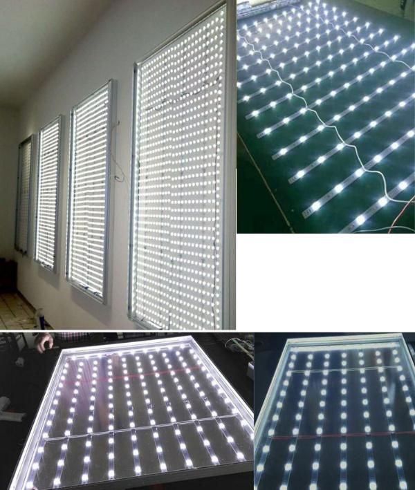 Custom Wholesale SMD2835 LED Aluminium Strip Diffuse LED Bar Lighting Backlight DC24V LED Ladder Light Strip