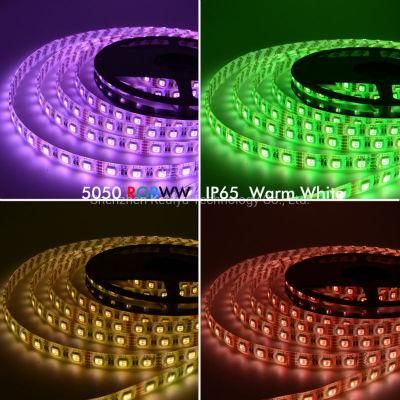 SMD5050 14.4W/M 60LED 84LED 96LED 120LED RGBW 2700K Rgbnw 4000K RGBW 6000K 4 in 1 LED Strip Light IP20&IP65 with Silicone